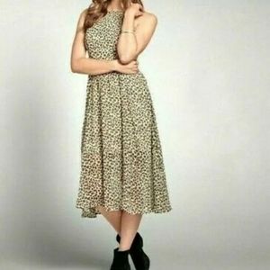 ABERCROMBIE and FITCH Women's Leopard Print Midi Chiffon Dress Size XS NWT